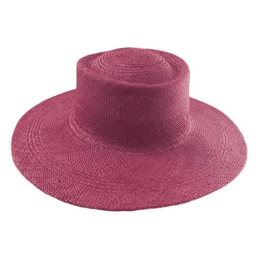 The Painter - Raspberry